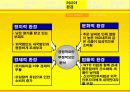 오뚜기 마요네즈의 성공전략-노란맛으로 러시아시장을 잡아라 15페이지
