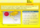 오뚜기 마요네즈의 성공전략-노란맛으로 러시아시장을 잡아라 19페이지