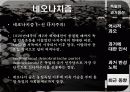 독일의 과거사 청산 -일본과 비교 30페이지