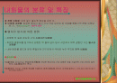 내화물 및 단열재 2페이지