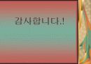 내화물 및 단열재 12페이지