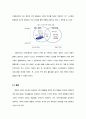 [RPT] 인터넷과 경영 킬러엡과 e-HRM, 에이전트에 대하여 43페이지