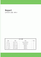[RPT]  웹2.0과 시맨틱 웹에 관하여 1페이지