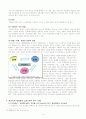 문학 비평의 방법론 : 정신사적(해석학) 연구 방법론 -빌헬름 딜타이를 중심으로 4페이지