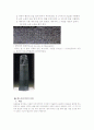 메소포티미아문명(정치, 역사, 문화, 예술, 교육, 스포츠) 3페이지