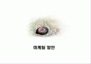 사업계획서입니다(닷컴관련) 24페이지