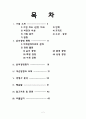 대한항공과 아시아나항공 2페이지