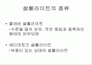 셀룰라이트의 종류와 특성및 제품 2페이지