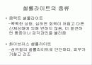 셀룰라이트의 종류와 특성및 제품 3페이지