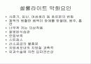 셀룰라이트의 종류와 특성및 제품 4페이지