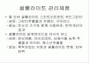 셀룰라이트의 종류와 특성및 제품 6페이지