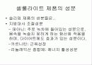 셀룰라이트의 종류와 특성및 제품 7페이지