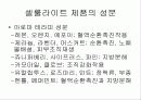 셀룰라이트의 종류와 특성및 제품 9페이지