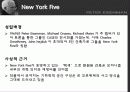 피터 아이젠만 작품, 활동 분석 6페이지