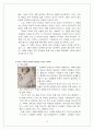 플랑드르르네상스-얀 반 아이크 ,히에로니무스 보쉬, 피터 브뤼겔 17페이지