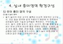 유치원, 어린이집  환경구성의 기본 원리 49페이지
