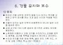 유치원, 어린이집  환경구성의 기본 원리 66페이지