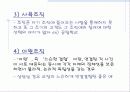 교육행정의 모든것 48페이지