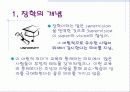 교육행정의 모든것 50페이지