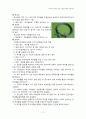 국내 해저케이블조사하기(fiber optic cable) 2페이지