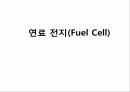 연료 전지(Fuel Cell) 1페이지