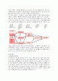 [보건교육B]중년 여성의 운동증진교육 7페이지