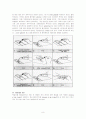 그람염색(gram staining) 8페이지