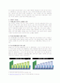 이마트 마케팅 전략 보고서 10페이지