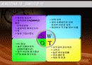 KOTRA 분석 21페이지