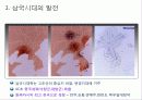 삼국시대의 무덤, 교육,신앙과 사상 3페이지