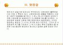 복지국가의 시대 21페이지