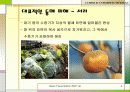 저온스트레스에 대한 식물의 대응 4페이지