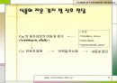 저온스트레스에 대한 식물의 대응 10페이지