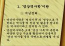 정보화시대,디지탈시대의  영상역사학  3페이지