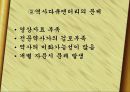 정보화시대,디지탈시대의  영상역사학  12페이지