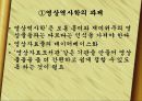 정보화시대,디지탈시대의  영상역사학  14페이지