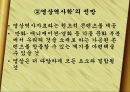 정보화시대,디지탈시대의  영상역사학  15페이지
