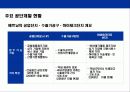 베트남에 대한 이해와 기업진출 전략 33페이지
