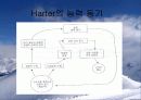 ppt 스키성취동기, 자심감과운동수행 4페이지