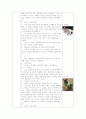 이야기나누기-개 2페이지