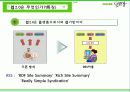 정보지식 중심의 Naver & Web2.0  4페이지