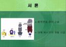 대체에너지로서 핵융합발전의 가능성 3페이지
