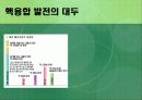 대체에너지로서 핵융합발전의 가능성 6페이지