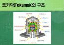 대체에너지로서 핵융합발전의 가능성 10페이지