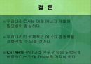 대체에너지로서 핵융합발전의 가능성 14페이지