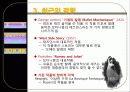 발레 음악 5페이지