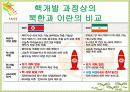 이란 핵문제 17페이지