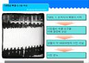 러시아 혁명 4페이지