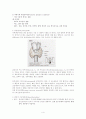 내분비계 (Endocrine System) 4페이지