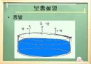 ( 5-1 ) 3. 기온과바람- PPT 34페이지